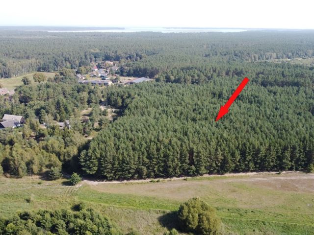 Blick auf Lage des Verkaufsflurstückes 85 und auf die Umgebung - Waldfläche nahe dem Stettiner Haff **Miteigentum zu 1/2 Anteil**