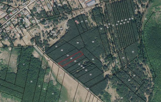 Umgebungsskizze - Waldfläche nahe dem Stettiner Haff **Miteigentum zu 1/2 Anteil**