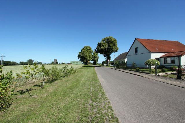 Blick auf Umgebung Richtung Verkaufsobjekt - Grundstück bebaut mit einer ehemaligen Holländermühle in ruinösem Zustand ca. 10 km von Anklam entfernt