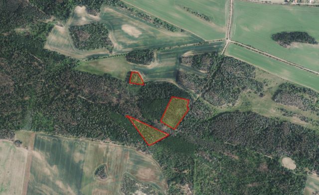 Lageskizze - Insgesamt über 3,2 ha Holzungs-/Waldflächen in Quedlinburg 