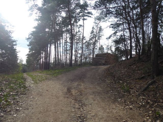 Blick auf Lage Flurstück 57 und Umgebung - Insgesamt über 3,2 ha Holzungs-/Waldflächen in Quedlinburg 