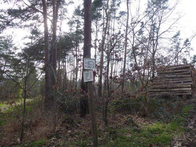 Blick auf Flurstück 57 und Umgebung - Insgesamt über 3,2 ha Holzungs-/Waldflächen in Quedlinburg 