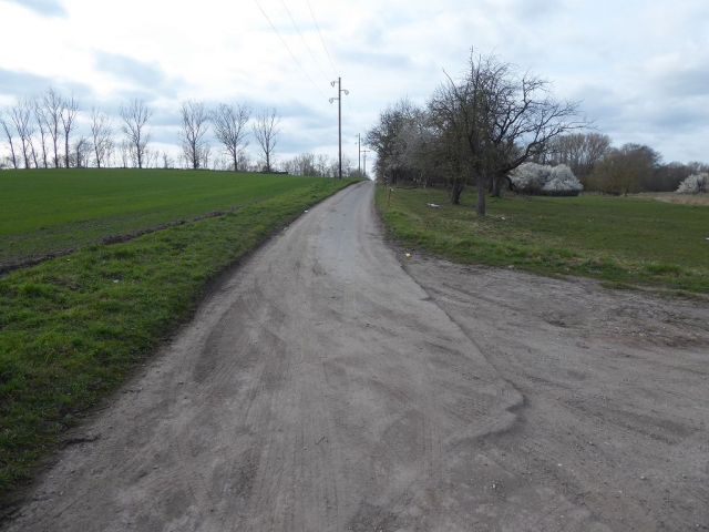 Ansicht Straße zur Badeanstalt - Bis 30.09.2024 verpachtete landwirtschaftlich genutzte Fläche in der Magdeburger Börde