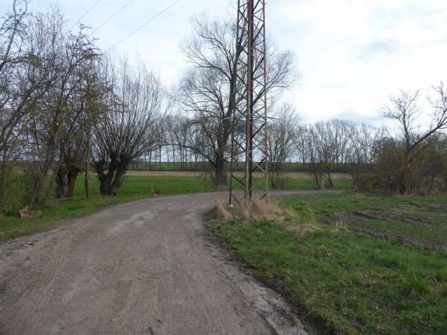 Ansicht Straße zur Badeanstalt - Bis 30.09.2024 verpachtete landwirtschaftlich genutzte Fläche in der Magdeburger Börde
