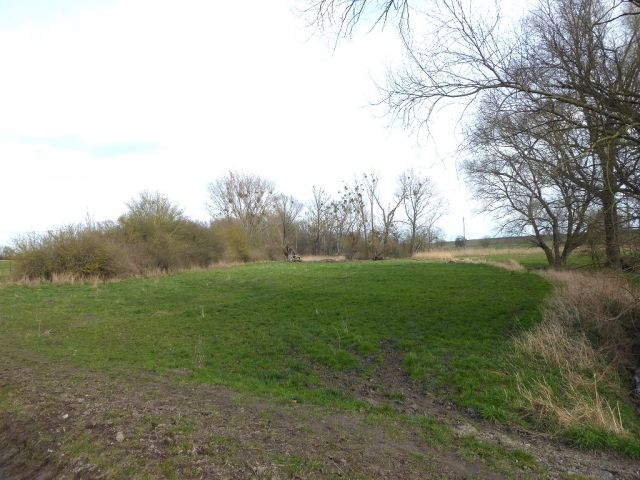 Blick auf Verkaufsfläche und Umgebung - Bis 30.09.2024 verpachtete landwirtschaftlich genutzte Fläche in der Magdeburger Börde
