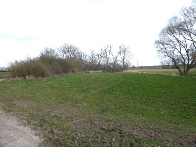 Blick auf Verkaufsfläche und Umgebung - Bis 30.09.2024 verpachtete landwirtschaftlich genutzte Fläche in der Magdeburger Börde