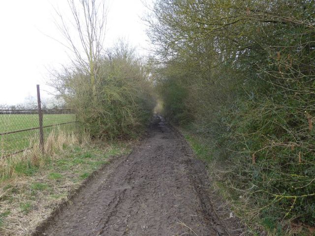Blick auf nördlich begrenzenden Weg - Bis 30.09.2024 verpachtete landwirtschaftlich genutzte Fläche in der Magdeburger Börde