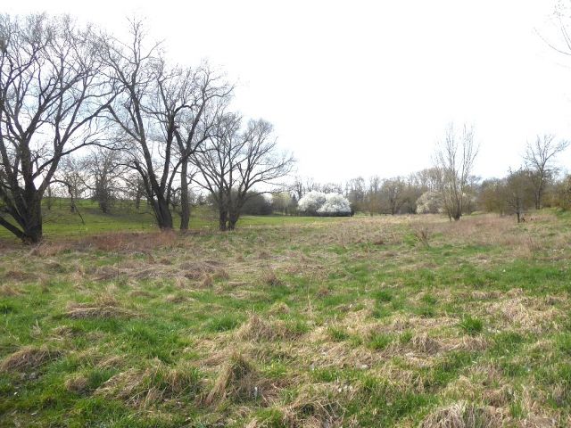 Blick auf Umgebung - Bis 30.09.2024 verpachtete landwirtschaftlich genutzte Fläche in der Magdeburger Börde