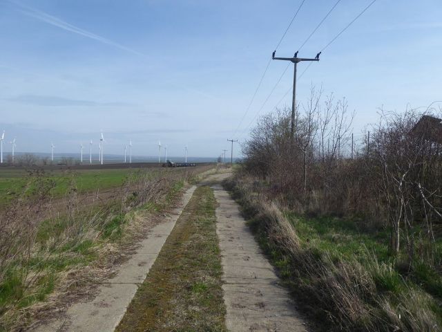 Blick auf Zuwegung zur Verkaufsfläche und die Umgebung - Bis 30.09.2025 verpachtete Landwirtschaftsfläche in Schwanebeck