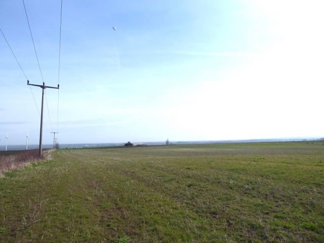 Blick auf Verkaufsfläche und Umgebung - Bis 30.09.2025 verpachtete Landwirtschaftsfläche in Schwanebeck
