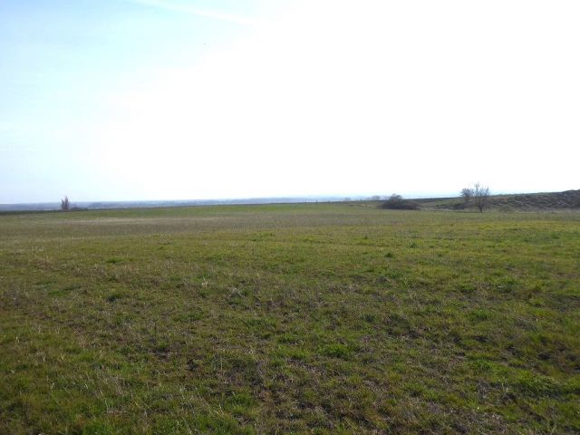 Blick auf Verkaufsfläche und Umgebung - Bis 30.09.2025 verpachtete Landwirtschaftsfläche in Schwanebeck