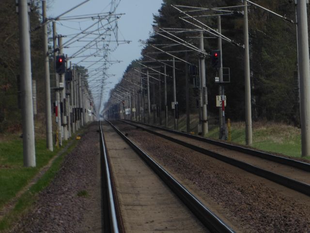 Lage der Flurstücke links der Bahntrasse - 5 Wald-/Holzungsflächen an der Bahntrasse Magdeburg - Berlin
