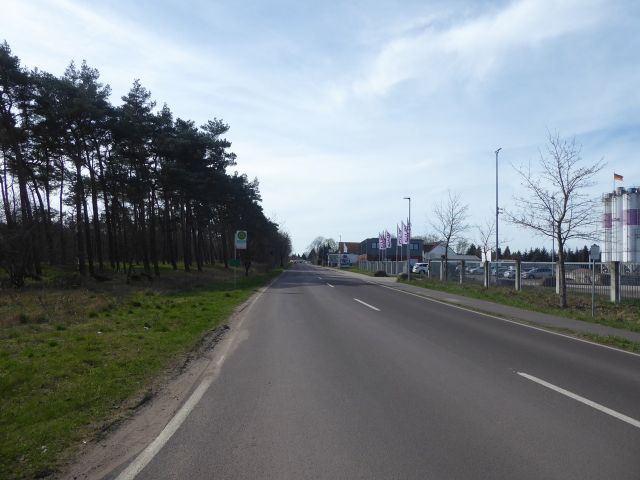 Blick in die Parchauer Chaussee - 5 Wald-/Holzungsflächen an der Bahntrasse Magdeburg - Berlin