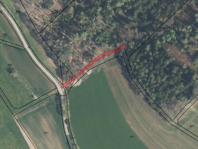 Lageskizze Flurstücke 438/2 und 438/3 - Zwei bewaldete Splitterflächen in der Görsdorfer Heide nahe der Landesgrenze zu Bayern