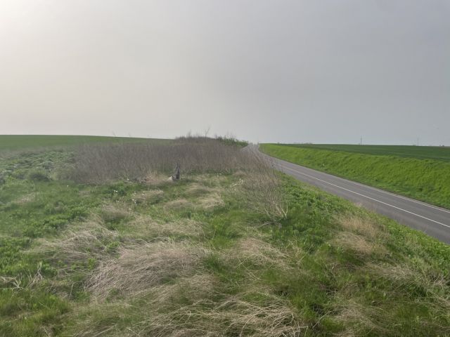 Blick auf den Verkaufsgegenstand - Bis 30.09.2026 verpachteter Grünstreifen an der B176 südlich vom ´Geiseltalsee´ im Saalekreis