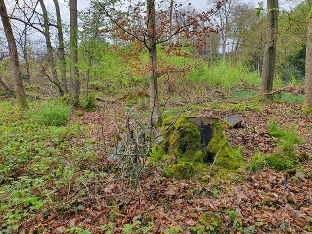 Blick auf den Verkaufsgegenstand - Vertragsfreies Grundstück hinter Wohnhäusern in Gummersbach 