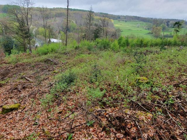 Verkaufsgegenstand und Umgebung - Vertragsfreies Grundstück hinter Wohnhäusern in Gummersbach 