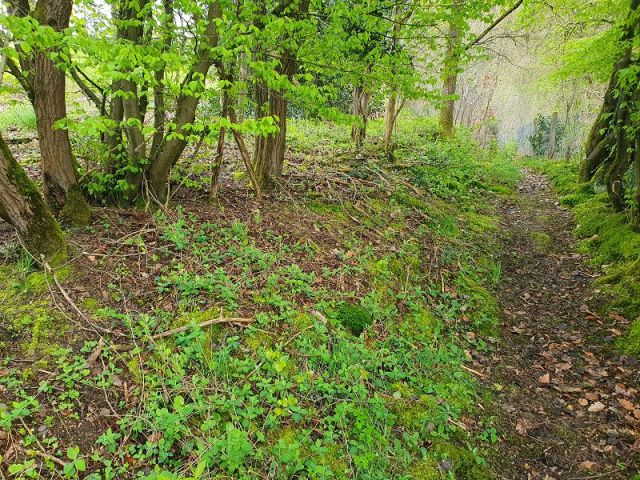 Verkaufsgegenstand und Umgebung - Vertragsfreies Grundstück hinter Wohnhäusern in Gummersbach 