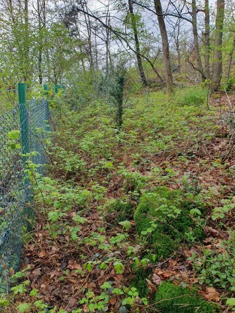 Verkaufsgegenstand und Umgebung - Vertragsfreies Grundstück hinter Wohnhäusern in Gummersbach 