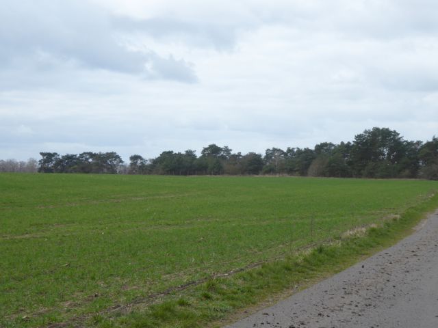 Blick Richtung Verkaufsgrundstück - Über 1 Hektar Ackerland **bis 30.09.2029 zu € 324,09 p.a. verpachtet**