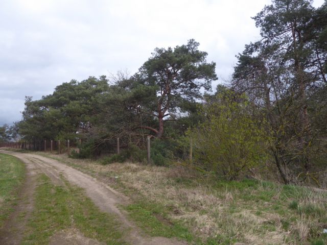 Angrenzende ehem. Deponie in NW - Über 1 Hektar Ackerland **bis 30.09.2029 zu € 324,09 p.a. verpachtet**