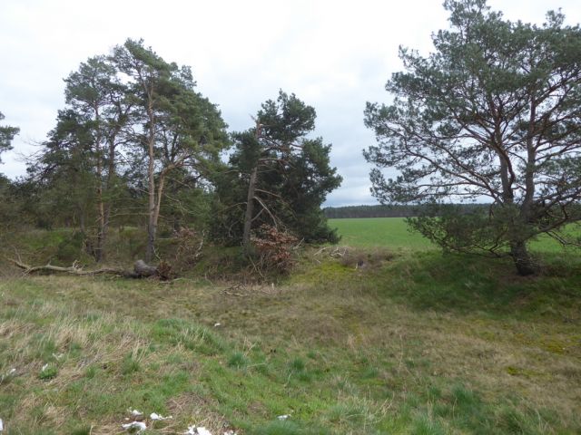 Lage des Verkaufsgegenstandes und Umgebung - Über 1 Hektar Ackerland **bis 30.09.2029 zu € 324,09 p.a. verpachtet**