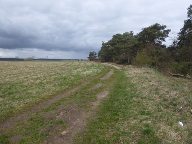 Umgebung - Weg zur Straße - Über 1 Hektar Ackerland **bis 30.09.2029 zu € 324,09 p.a. verpachtet**