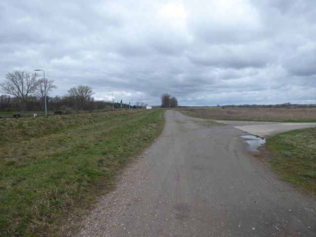 Weg Richtung Verkaufsgegenstand - Verpachtete Betonplatte und Güllegrube östlich des Mittellandkanals