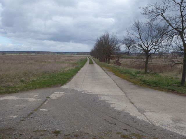 Zufahrt Richtung Verkaufsgegenstand - Verpachtete Betonplatte und Güllegrube östlich des Mittellandkanals