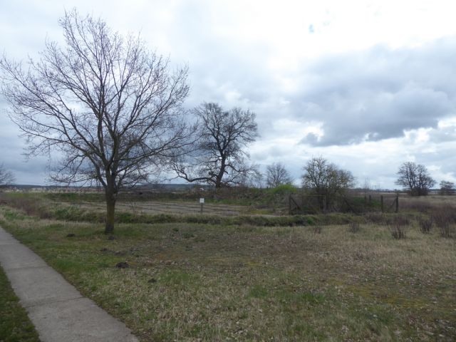 Blick auf den Verkaufsgegenstand - Verpachtete Betonplatte und Güllegrube östlich des Mittellandkanals