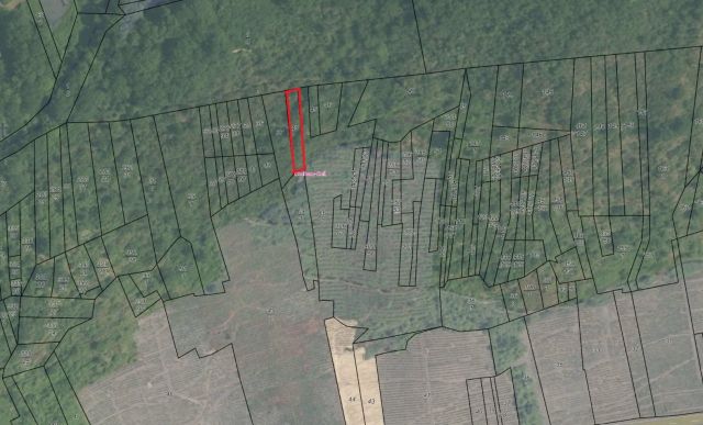 Lageskizze Flurstück 43 - 3 bewaldete, naturbelassene Hangflächen oberhalb von Weinanbauflächen mit Blick auf die Mosel