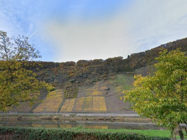Blick Richtung Flurstück 43 und auf die Umgebung - 3 bewaldete, naturbelassene Hangflächen oberhalb von Weinanbauflächen mit Blick auf die Mosel