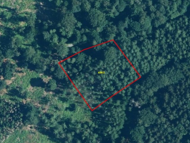 Lageskizze - Vertragsfreie Waldfläche in der Oberlausitz