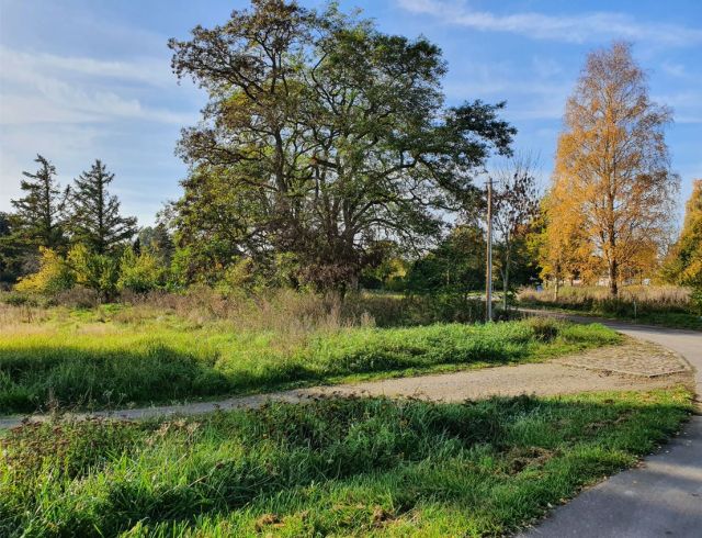 Blick auf Verkaufsgegenstand und Umgebung - Großes Grundstück mit positivem Bauvorbescheid in Ostseenähe ** aktueller BRW € 20/m² **