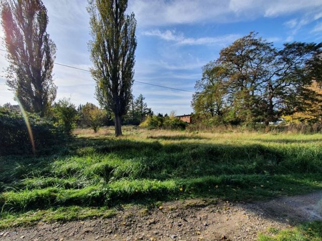 Blick auf Verkaufsfläche und Umgebung - Großes Grundstück mit positivem Bauvorbescheid in Ostseenähe ** aktueller BRW € 20/m² **