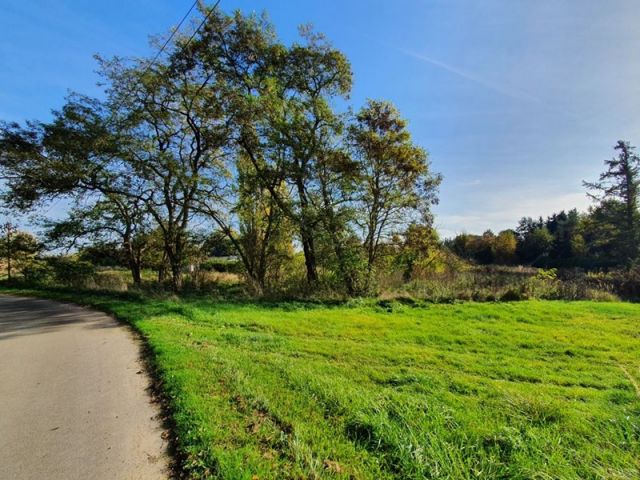 Blick auf Verkaufsfläche und Umgebung - Großes Grundstück mit positivem Bauvorbescheid in Ostseenähe ** aktueller BRW € 20/m² **