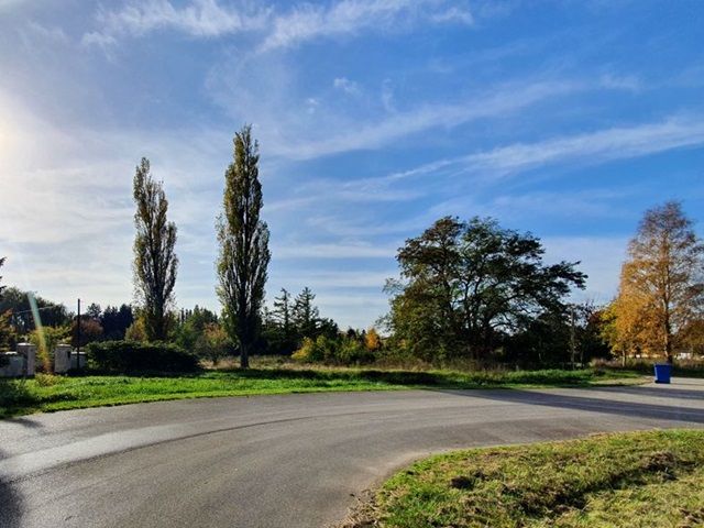 Blick Richtung Verkaufsfläche und auf die Umgebung - Großes Grundstück mit positivem Bauvorbescheid in Ostseenähe ** aktueller BRW € 20/m² **