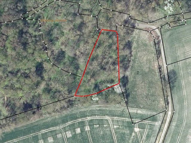 Lageskizze - Holzung/Waldfläche in der denkmalgeschützten ´Wüstung Jahrsau´