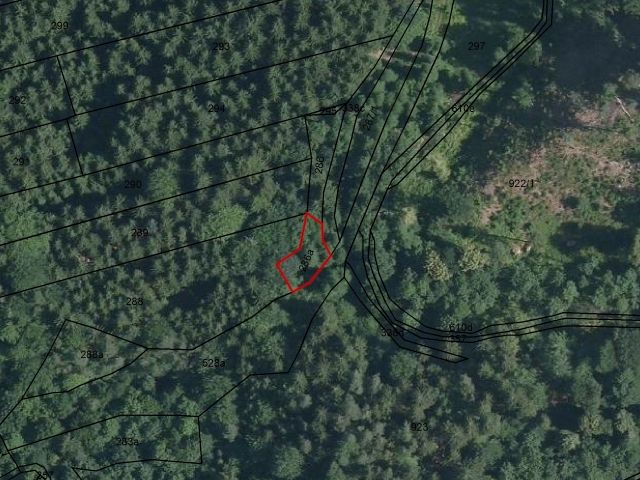 Lageskizze - Kleine Waldfläche in der Sächsischen Schweiz