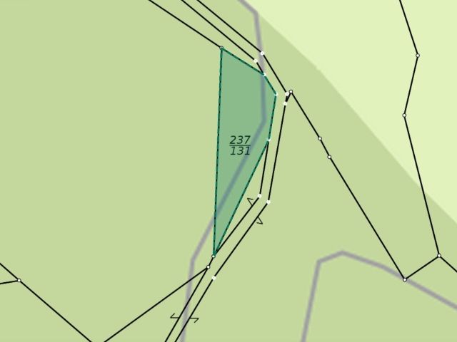 Lageskizze Gemarkung Stanau Flur 1 Flurstück 237/131 - Zwei vertragsfreie Waldflächen in Neustadt an der Orla