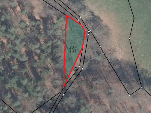 Lageskizze Gemarkung Stanau Flur 1 Flurstück 237/131 - Zwei vertragsfreie Waldflächen in Neustadt an der Orla