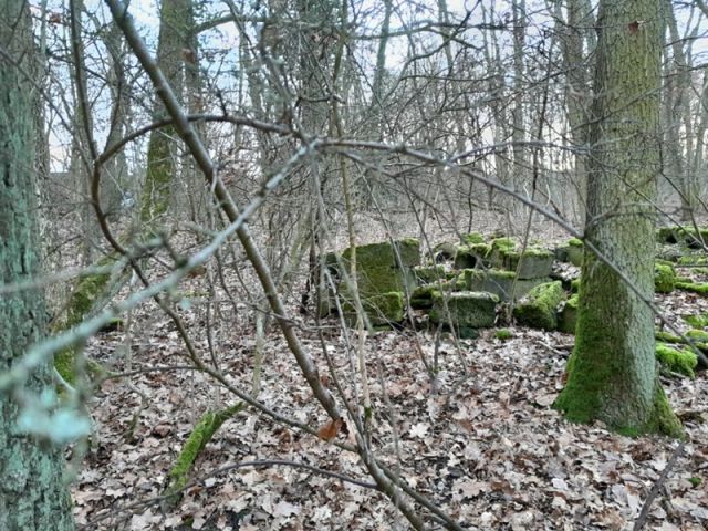 Blick auf Verkaufsfläche mit Ablagerungen - Kleine Gehölzfläche in der ´Schweinfurter Rhön´