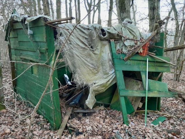 Blick auf Verkaufsfläche mit Resten der ehemaligen kleinen Holzhütte - Kleine Gehölzfläche in der ´Schweinfurter Rhön´