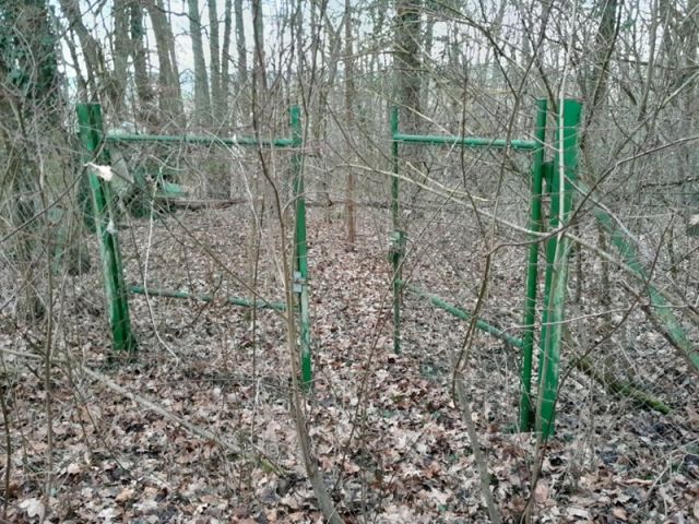 Blick auf Verkaufsfläche und Zugang - Kleine Gehölzfläche in der ´Schweinfurter Rhön´