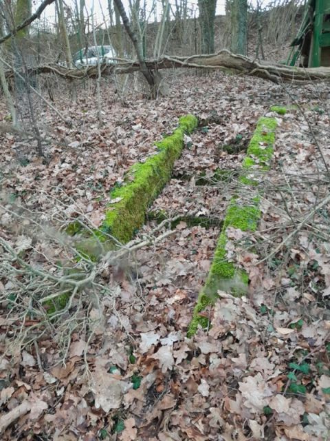 Blick auf Verkaufsfläche mit Resten der Steintreppe - Kleine Gehölzfläche in der ´Schweinfurter Rhön´