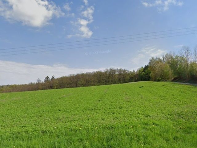 Blick auf Umgebung und Richtung größeres Waldgebiet - Kleine Gehölzfläche in der ´Schweinfurter Rhön´