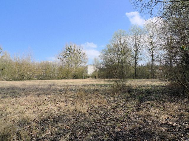 Blick auf Verkaufsfläche und Umgebung - Aufnahme aus 2018 - Vertragsfreie Grünfläche mit partiellen Gehölzbewuchs ca. 1,6 km vom Zierker See mit dem Stadthafen Neustrelitz entfernt