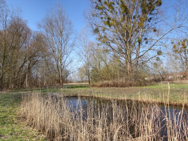 Blick Richtung Verkaufsfläche und auf die Umgebung - Aufnahme aus 2018 - Vertragsfreie Grünfläche mit partiellen Gehölzbewuchs ca. 1,6 km vom Zierker See mit dem Stadthafen Neustrelitz entfernt
