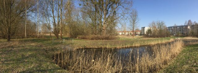 Blick Richtung Verkaufsfläche und auf die Umgebung - Aufnahme aus 2018 - Vertragsfreie Grünfläche mit partiellen Gehölzbewuchs ca. 1,6 km vom Zierker See mit dem Stadthafen Neustrelitz entfernt