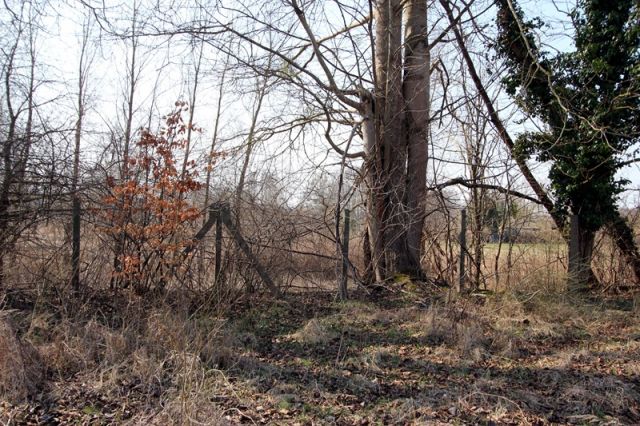 Blick auf Verkaufsfläche mit Betonpfähle der ehemaligen Einfriedung und auf die Umgebung- Aufnahme aus 2018 - Vertragsfreie Grünfläche mit partiellen Gehölzbewuchs ca. 1,6 km vom Zierker See mit dem Stadthafen Neustrelitz entfernt